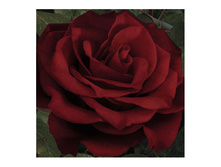 ��������� �����.jpg