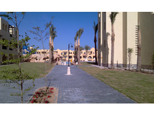 IMAG1032.jpg