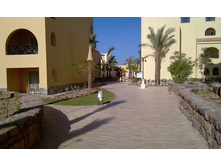 IMAG1053.jpg