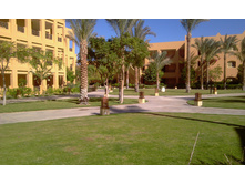IMAG1100.jpg