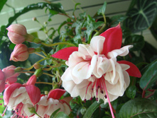 DSC08670.JPG