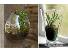 florarium-7.jpg