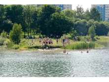 17.06.2009 12:56:12