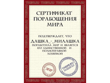 17.06.2009 15:07:02