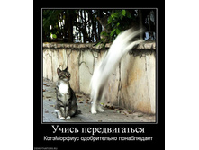 13.10.2010 19:43:50