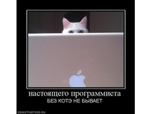 13.10.2010 19:45:39