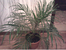 ����-0435.jpg