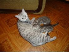 DSC00020.JPG