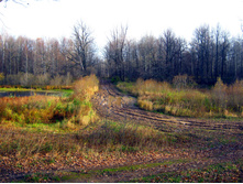 2012-10-20_10-05-34.jpg