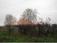 2012-10-20_15-57-04.jpg