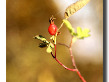 15.10.2010 4:15:25