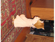 15.10.2010 10:35:31