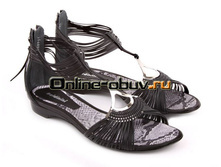 Baldin ini �0830