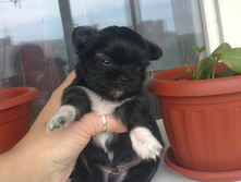 19052012386.jpg