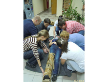IMG 083sm.jpg