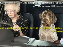 820115.jpg