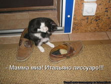 941762.jpg