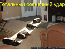 1067969.jpg