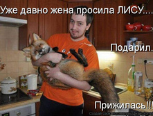1078842.jpg