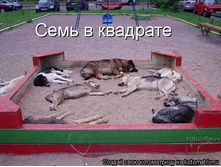 1080853.jpg