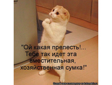 kotomatrix_05.jpg