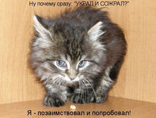 kotomatrix_09.jpg