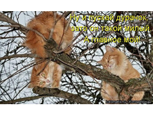 kotomatrix_13.jpg