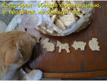 kotomatrix_16.jpg