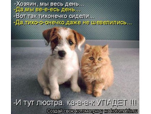 kotomatrix_21.jpg