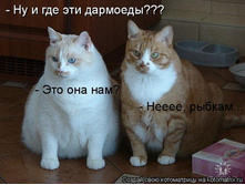 kotomatrix_26.jpg