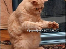 kotomatrix_27.jpg