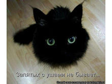 kotomatrix_56.jpg