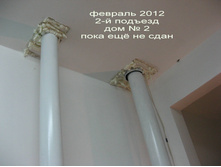 IMG_1381.jpg