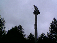 29.06.2009 1:06:35