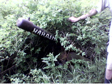 29.06.2009 1:06:36