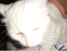 17.10.2010 18:03:42