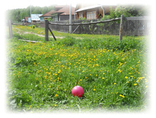 21.05.2012 2:25:56