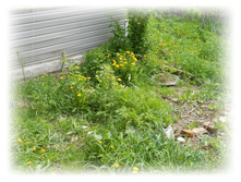 21.05.2012 2:27:01