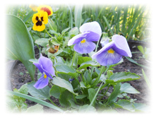 21.05.2012 2:28:03