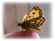 21.05.2012 2:28:47