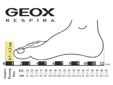 Size.jpg
