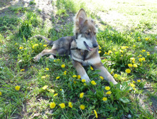 21.05.2012 10:23:21