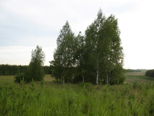 30.06.2009 21:00:51