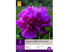 GILBERT BARTHELOT 90.25�..jpg