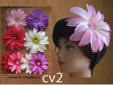 ��� cv2