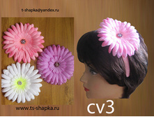 ��� cv3