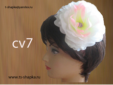 ��� cv7
