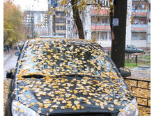 19.10.2010 9:42:16