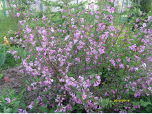 S73R0970.JPG