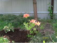 S73R1020.JPG